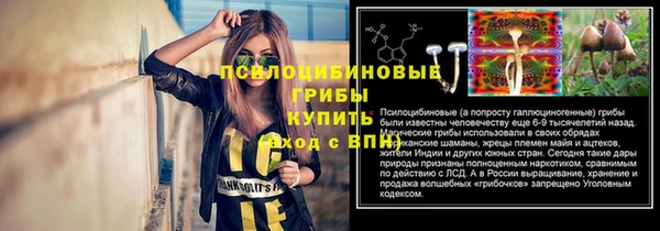 MESCALINE Алзамай